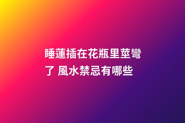 睡蓮插在花瓶里莖彎了 風水禁忌有哪些